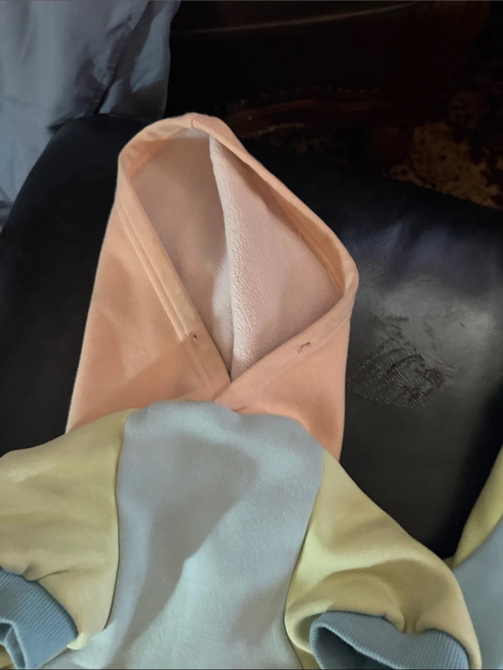 Spark paws Colorblock Pastel Hoodie - human hoodie dog hoodie